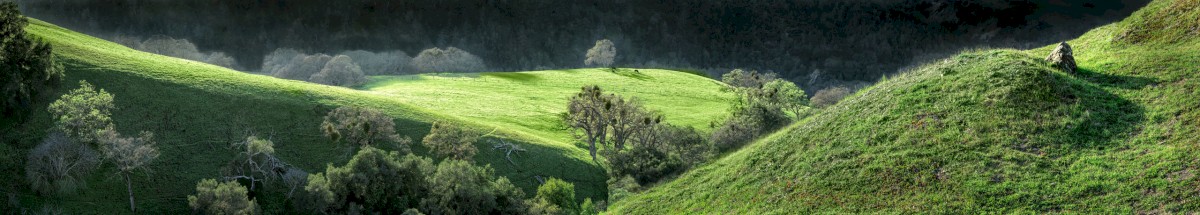 Small Outcrop on McCorkle Plateau - Sunol Regional Wilderness - EBPRD