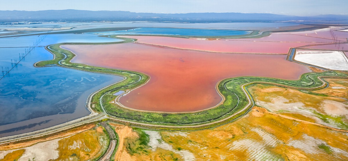 Coyote Creek Outfall