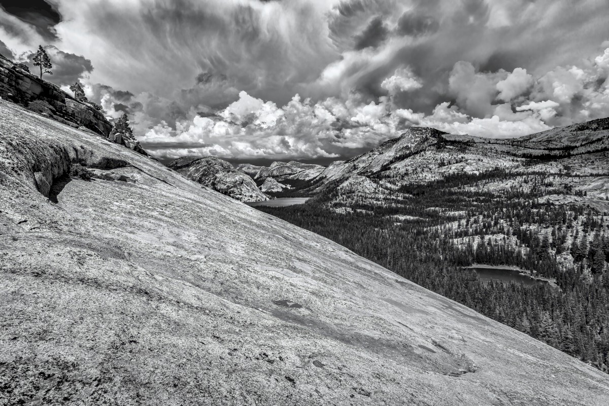 Olmstead-Dome-0714_8044