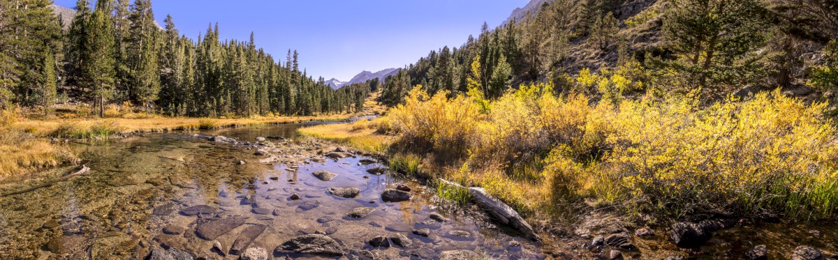 Fall Colors on Rock Creek - Rock Creek - Inyo national Forest