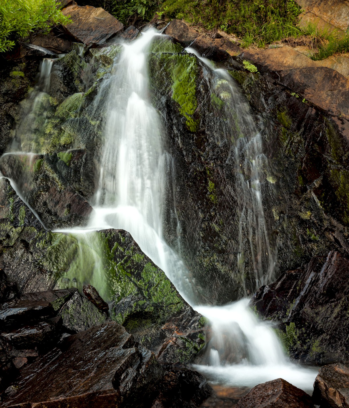 Potter Lake Outlet - 20 Lakes Basin - Hoover Wilderness