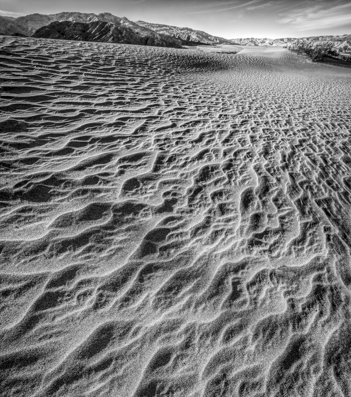 DV-Dunes-1511_0050-0055