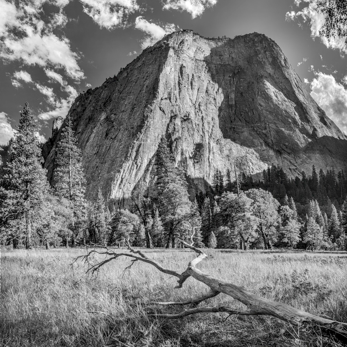 Cathedral-0810_7238-7241