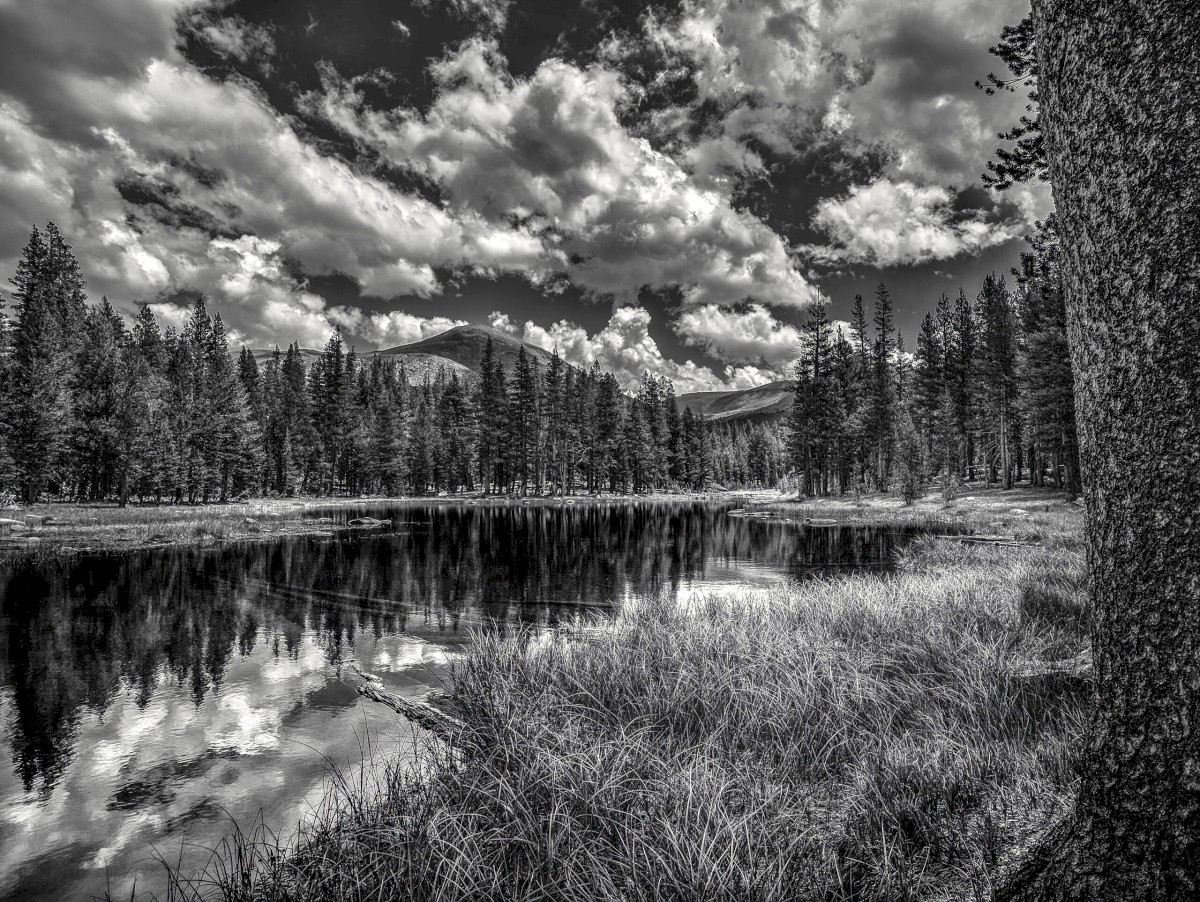 Mosquito Lake - Yosemite National Park