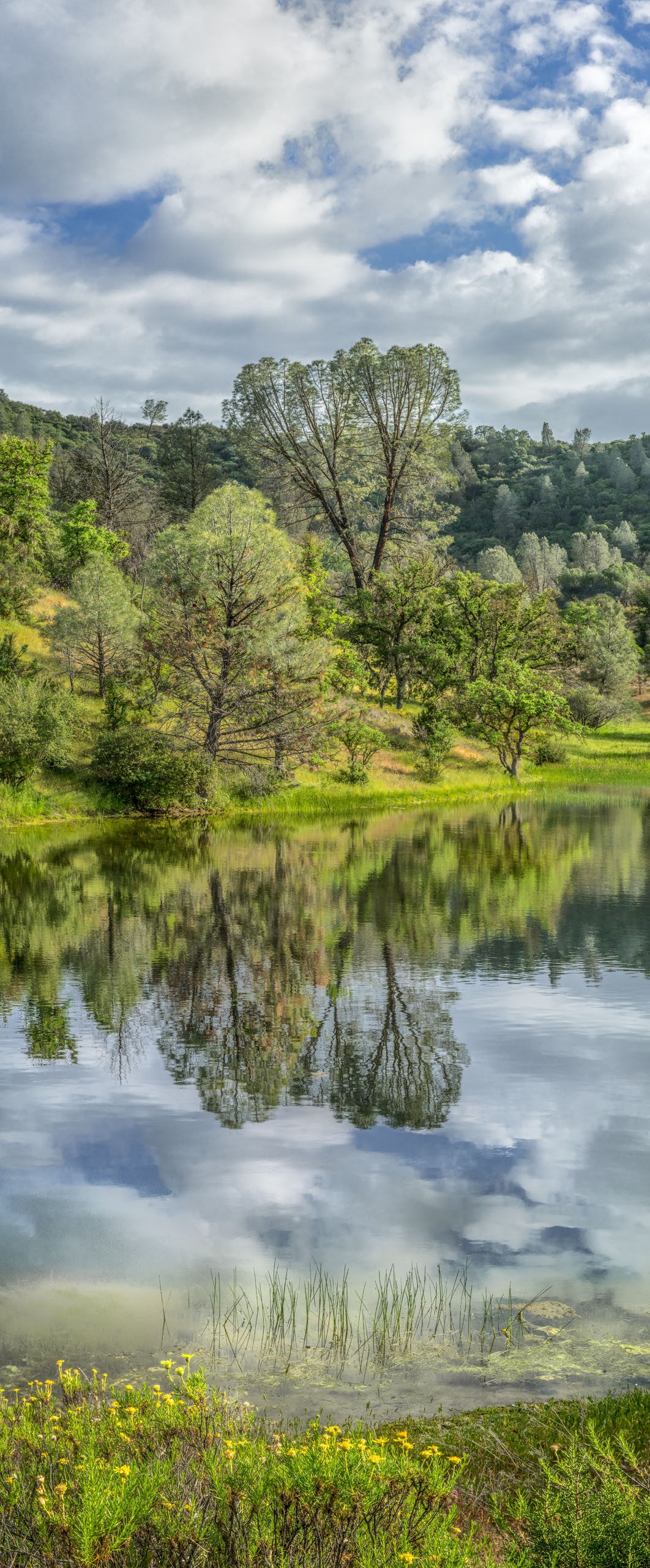 Mines Rd Pond... - Mines Road - Mt Hamilton