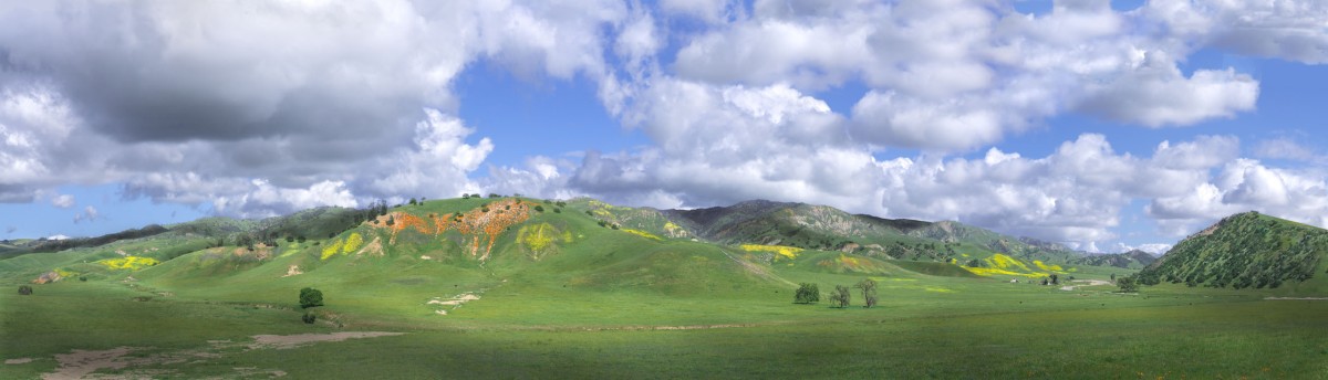 Bitterwater-Valley-2304_4832