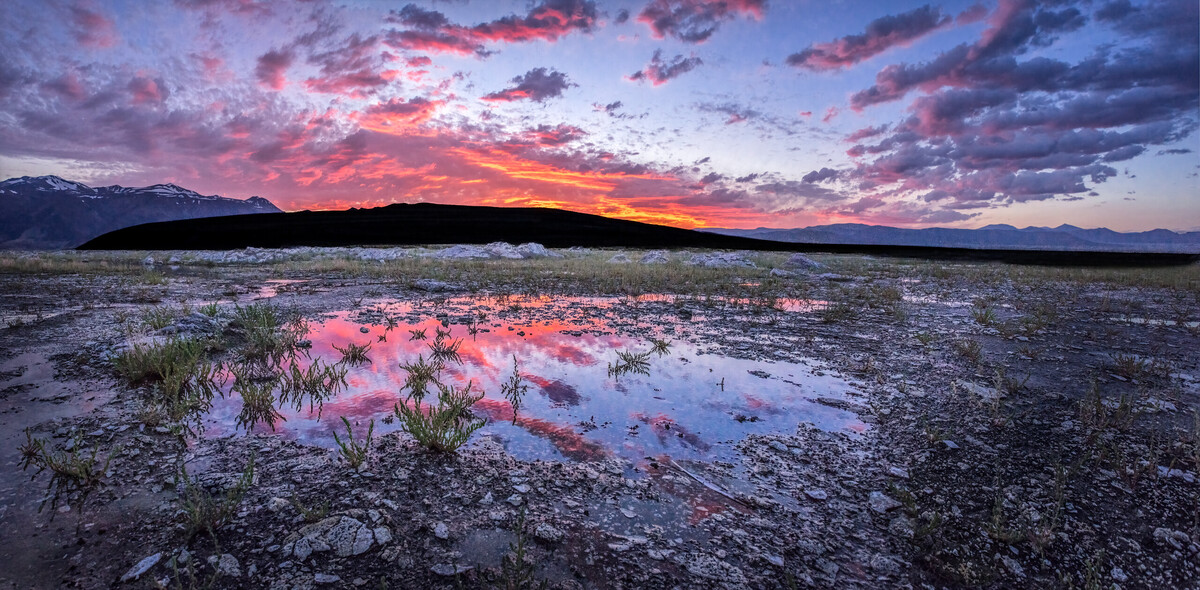 Black Point Burn - Black Point Beach at Mono Lake