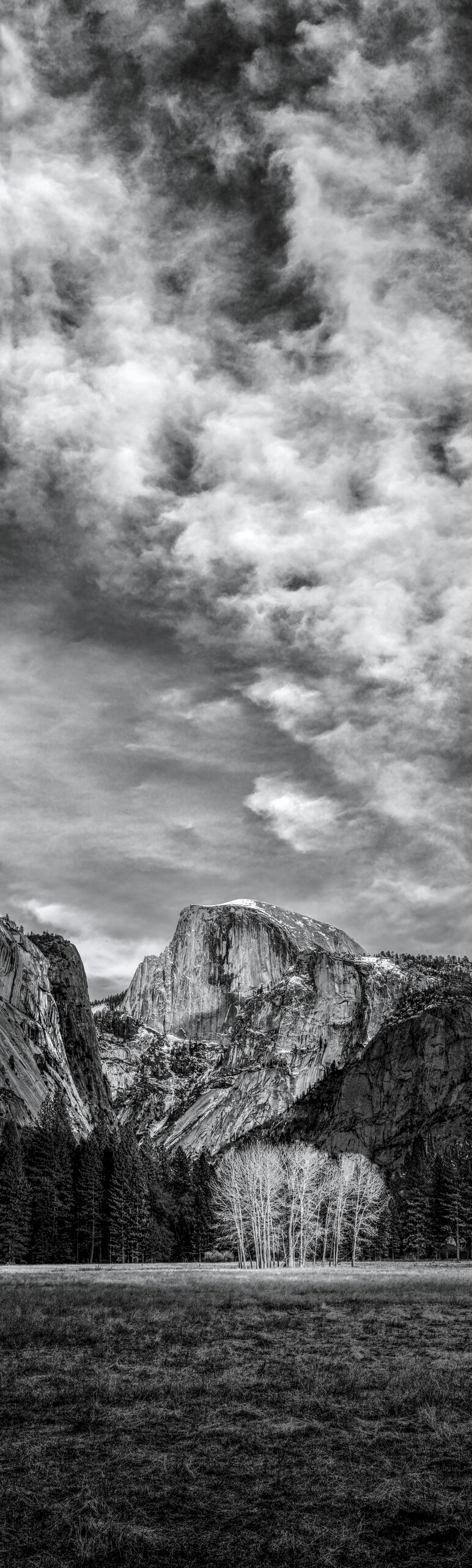 Half Dome from Ahwahnee Meadow - Yosemite National Park - Valley Floor