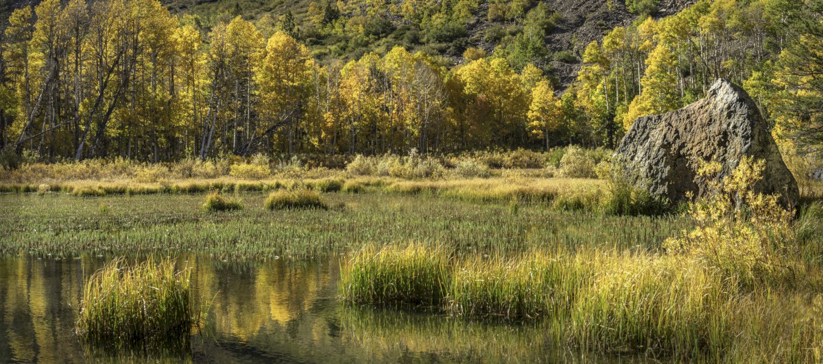 Lundy-Lake-Boulder-Fall-Colors-2310_9411