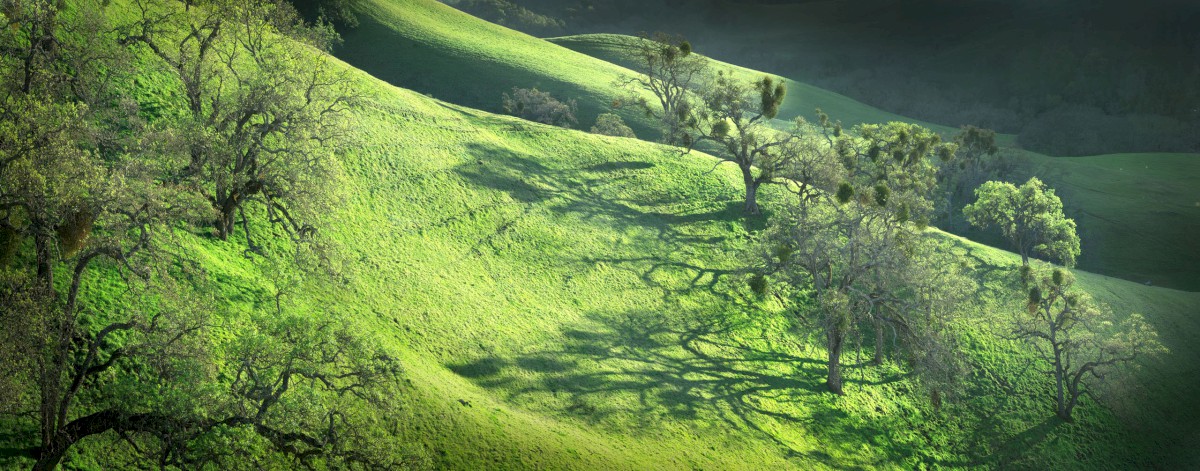 McCorkle Ridges - Sunol Regional Wilderness - EBPRD