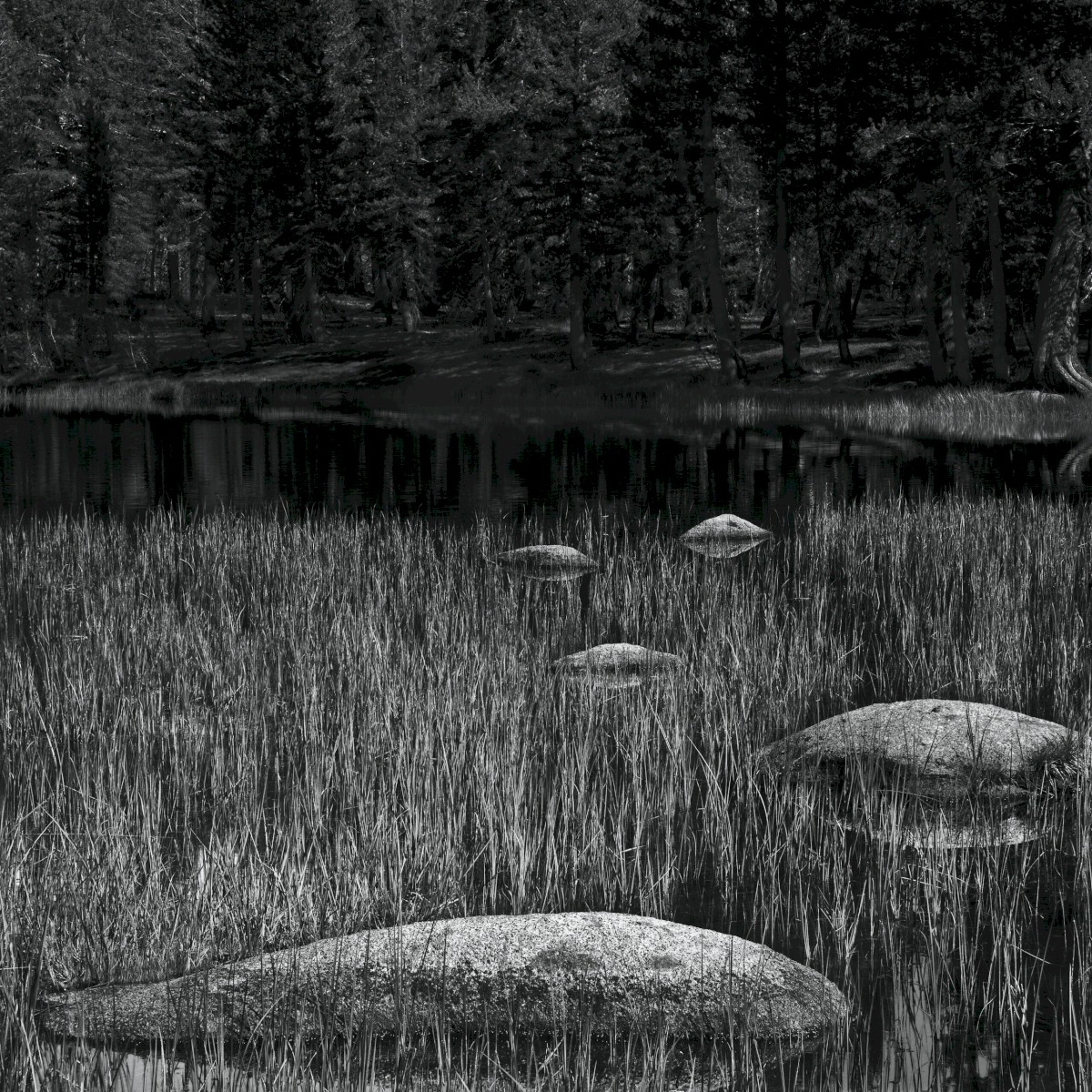 Tuolumne Meditation Stones - Yosemite National Park - Tuolumne