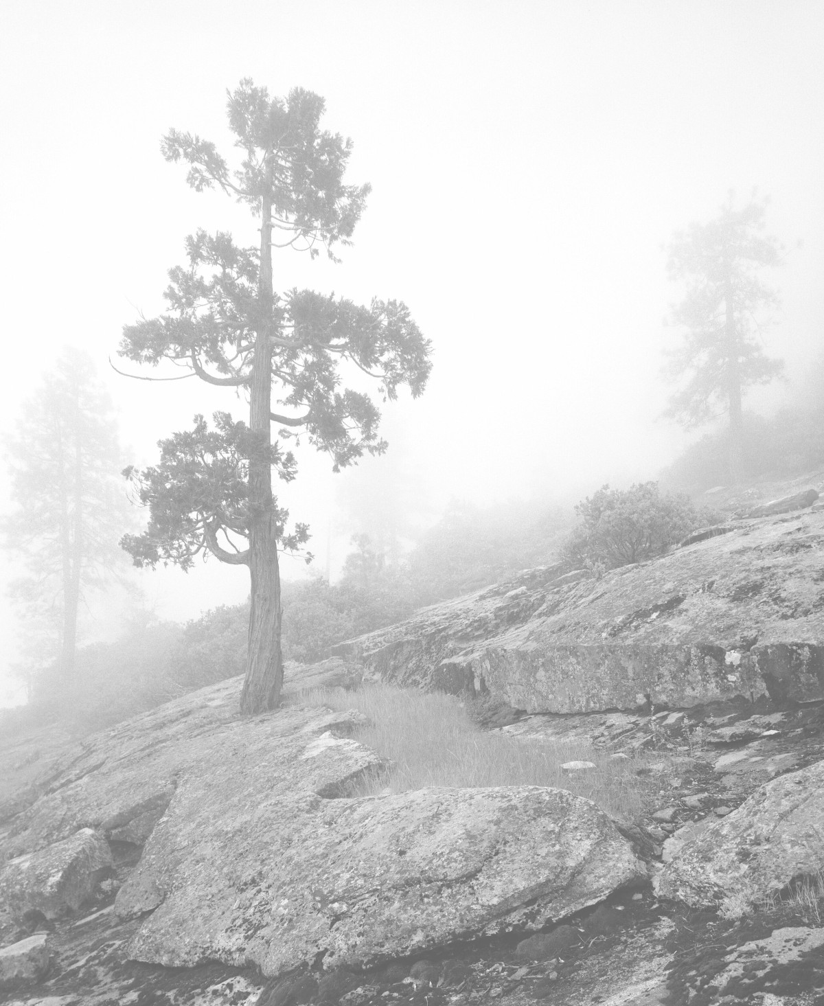 127-DomeInTheFog