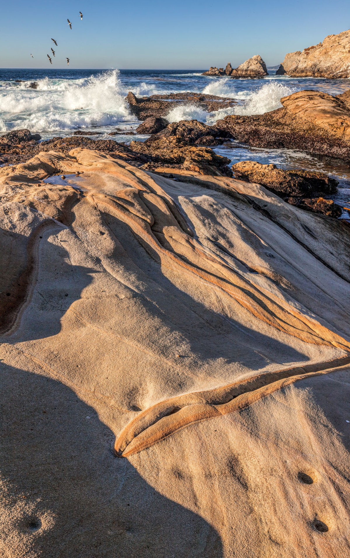 Sea Lion Point - Point Lobos State Park