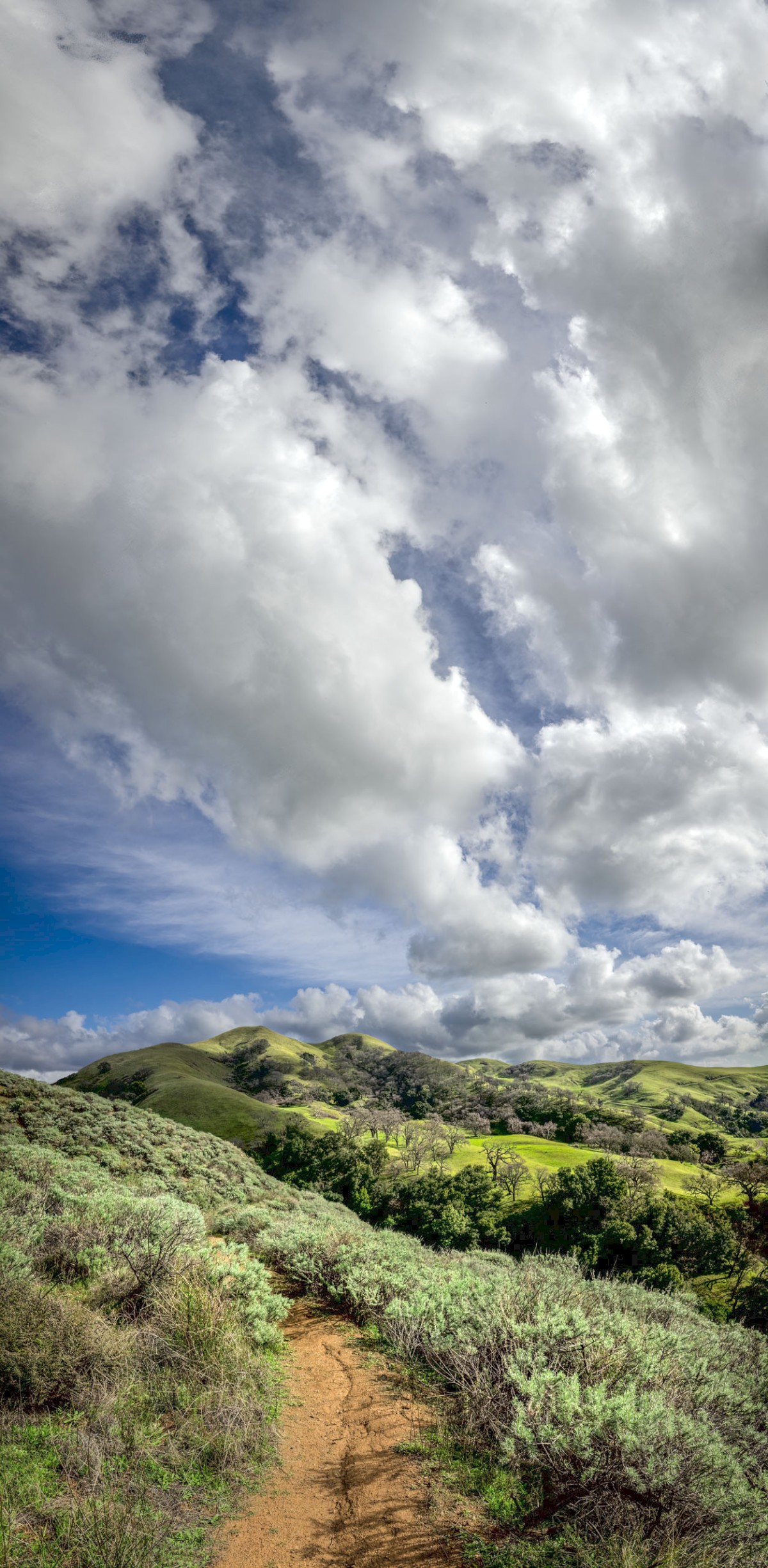Eagles View Trail - Sunol Regional Wilderness - EBPRD