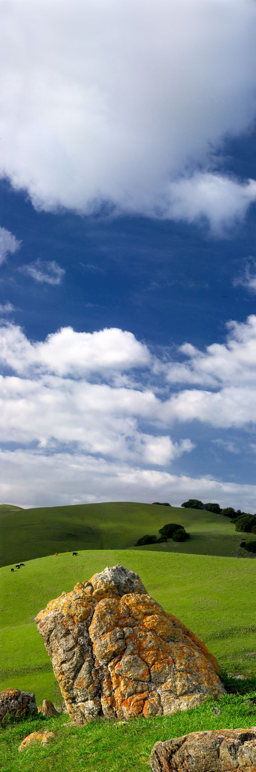 Kite Hill Rock - Garin Regional Park - EBPRD