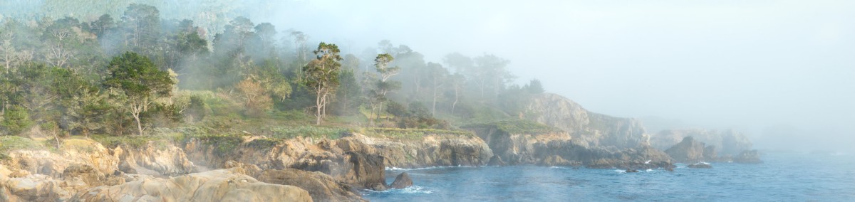 Point Lobos Fog