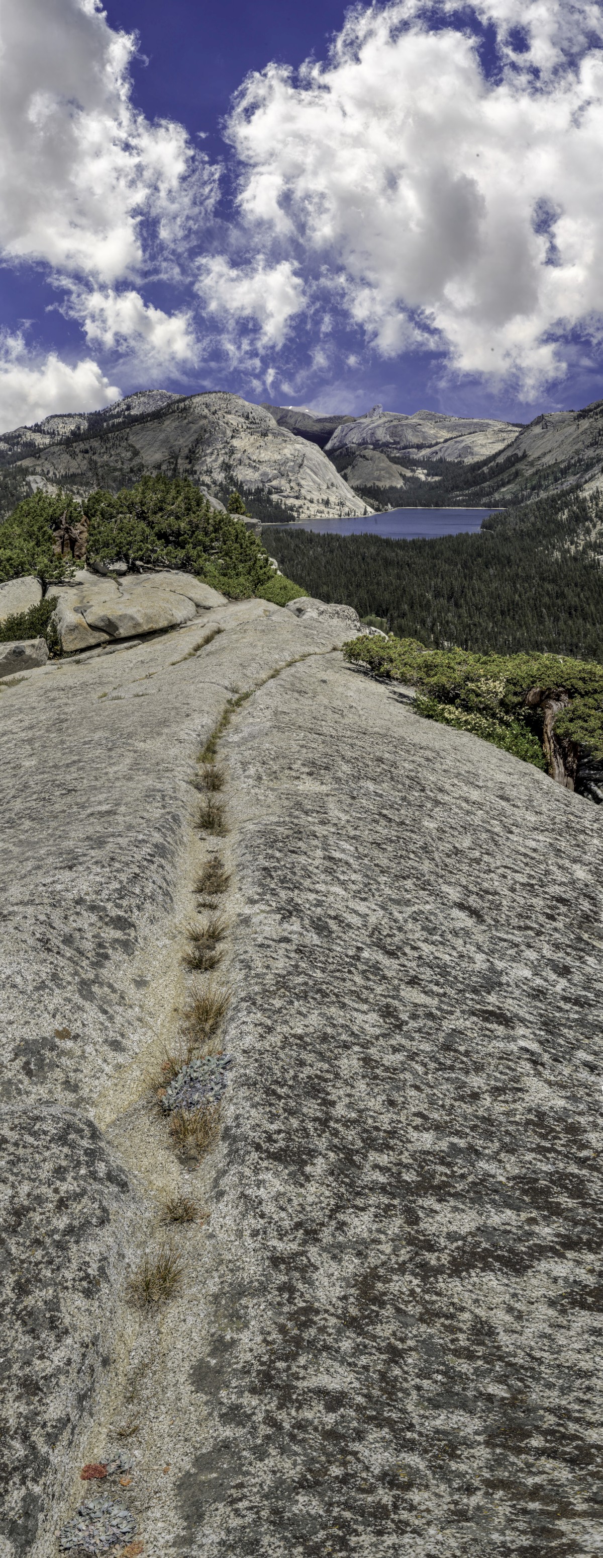 Olmstead Dome to Tenaya Lake - Yosemite National Park