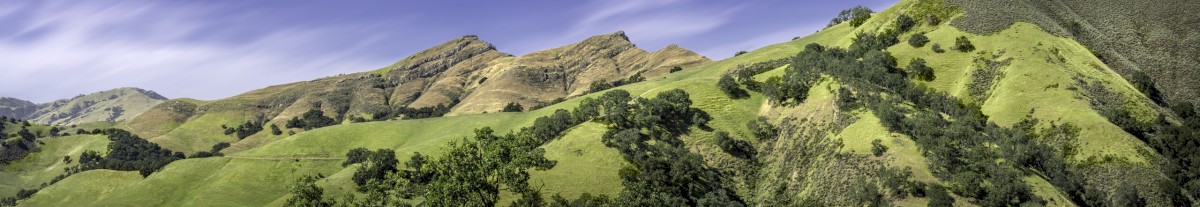 McGuire Peaks Turning Gold - Sunol Regional Wilderness - EBPRD