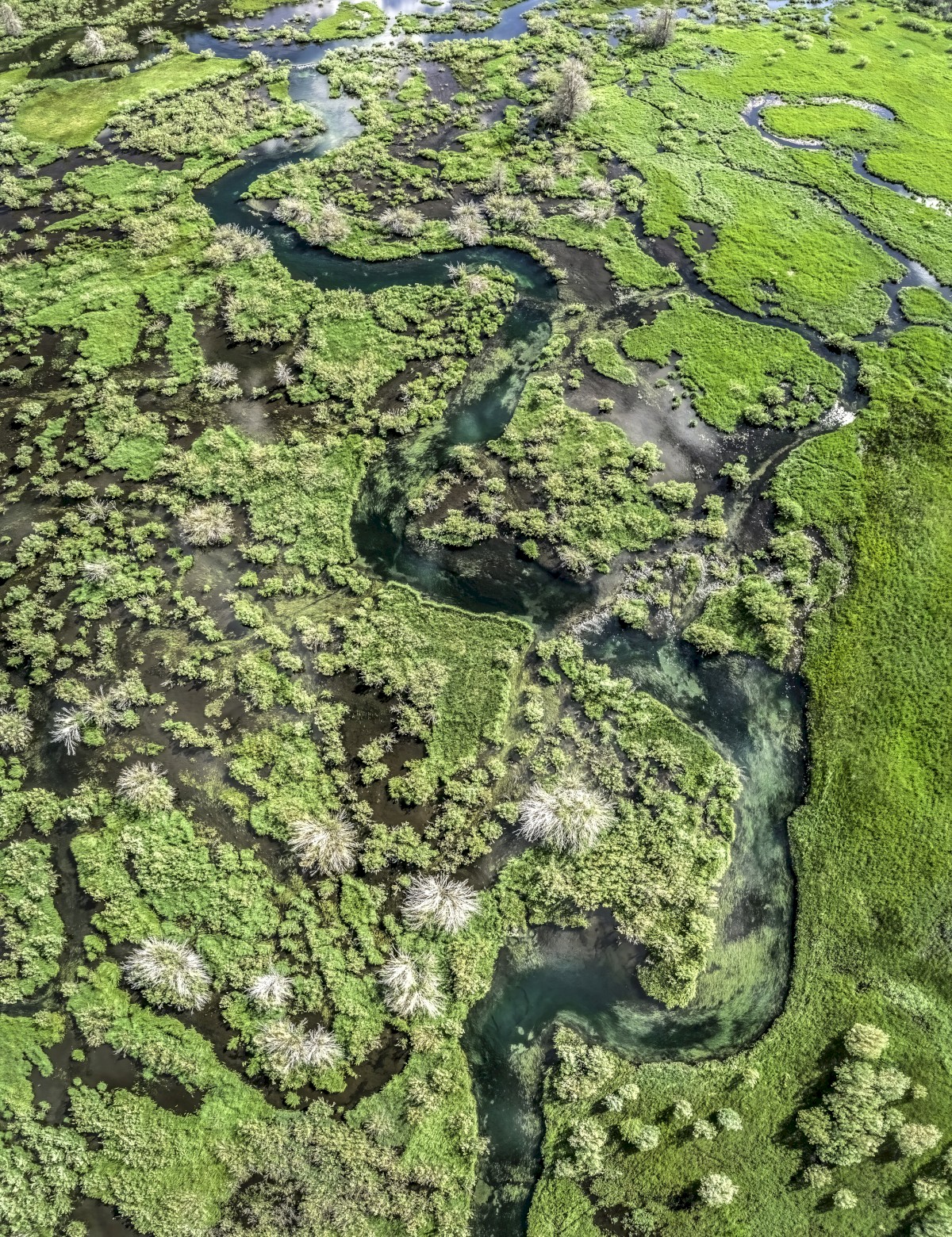 Green-Creek-Marsh-Verto-1907_3664-3668