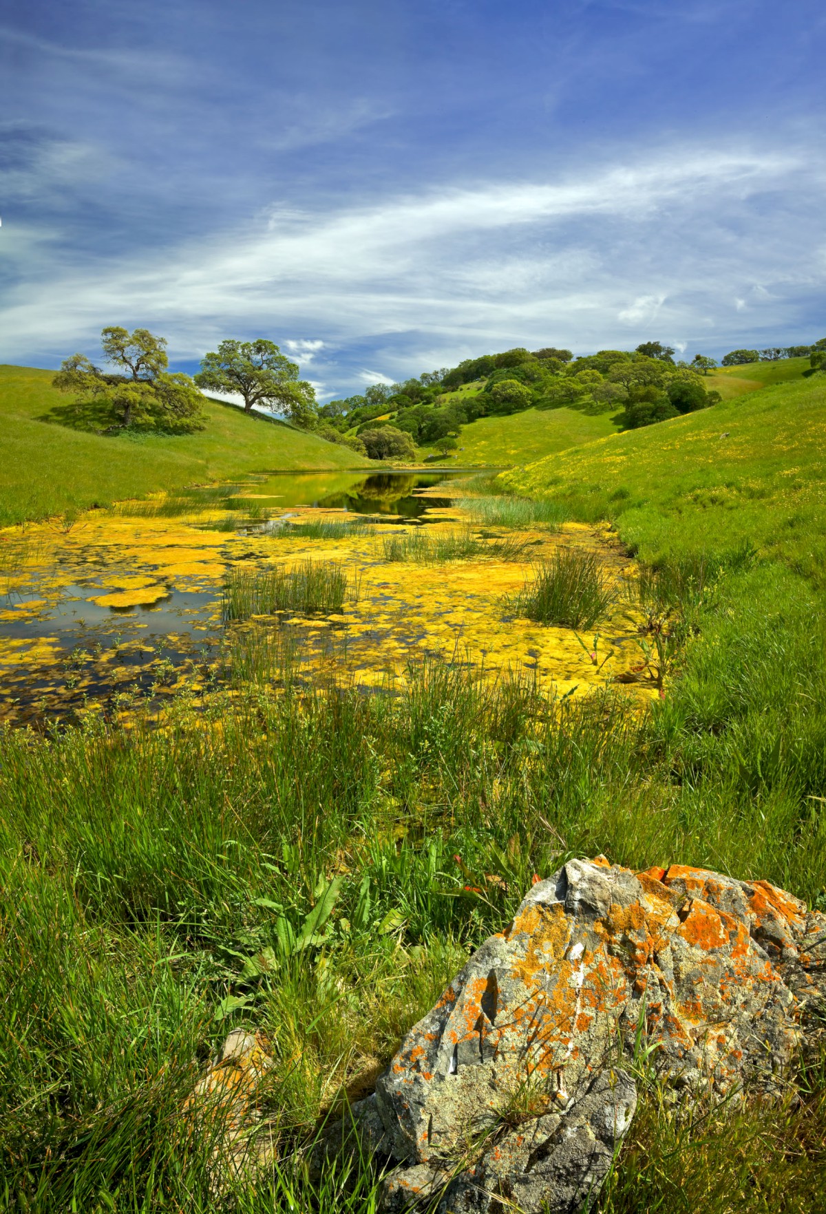 Pig Pond - Pachecho State Park - Pachecho Pass