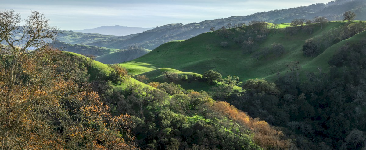 Calaveras from McGuire Peaks - Sunol Regional Wilderness - EBPRD