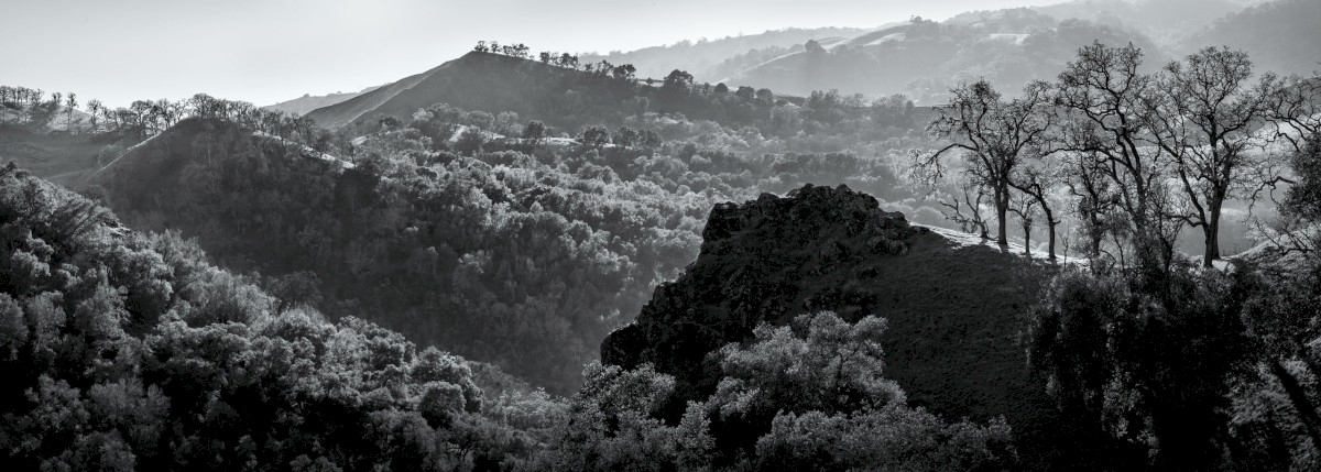 McCorkle from the Top - Sunol Regional Wilderness - EBPRD