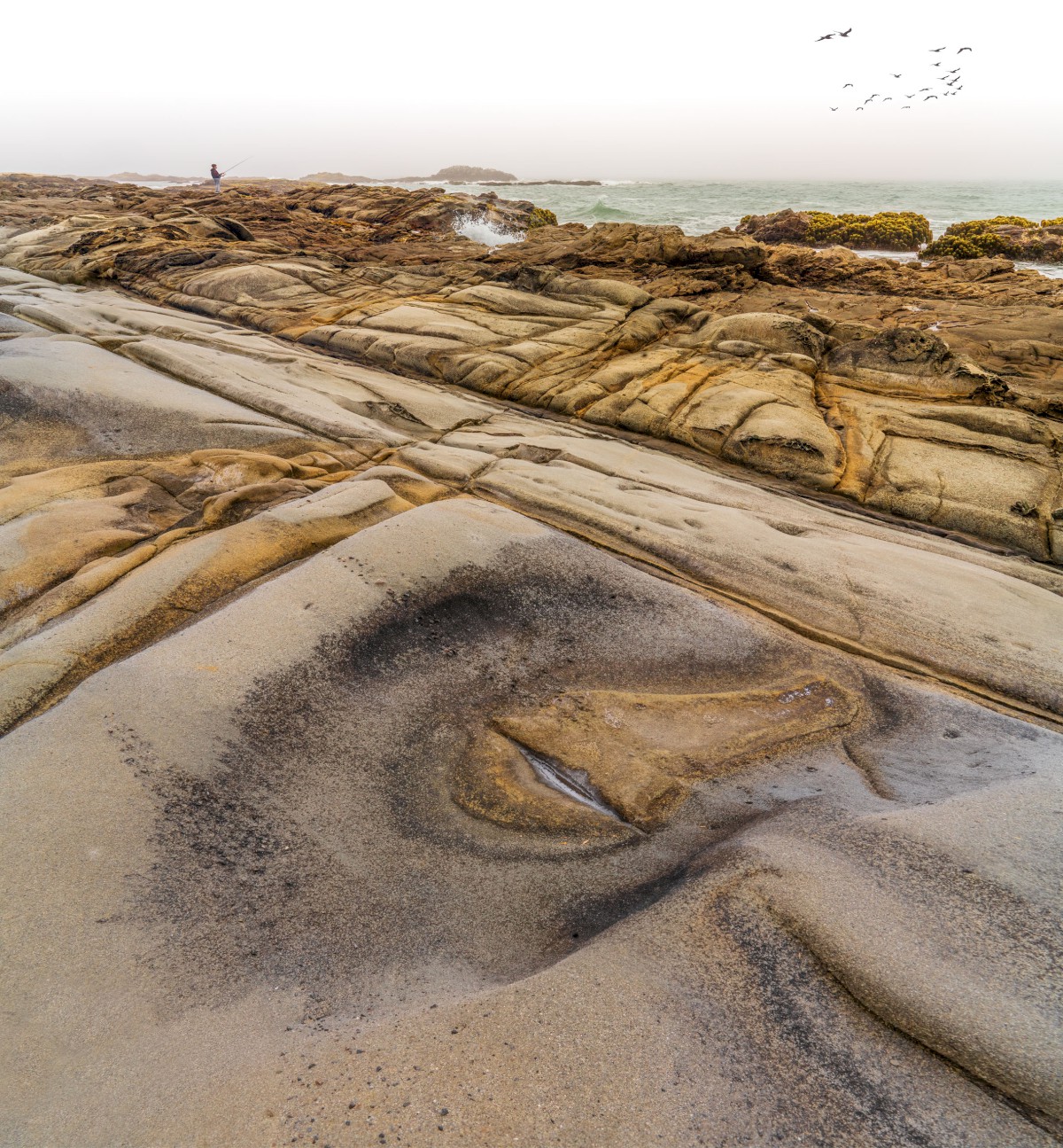 Bean Hollow Fisherman