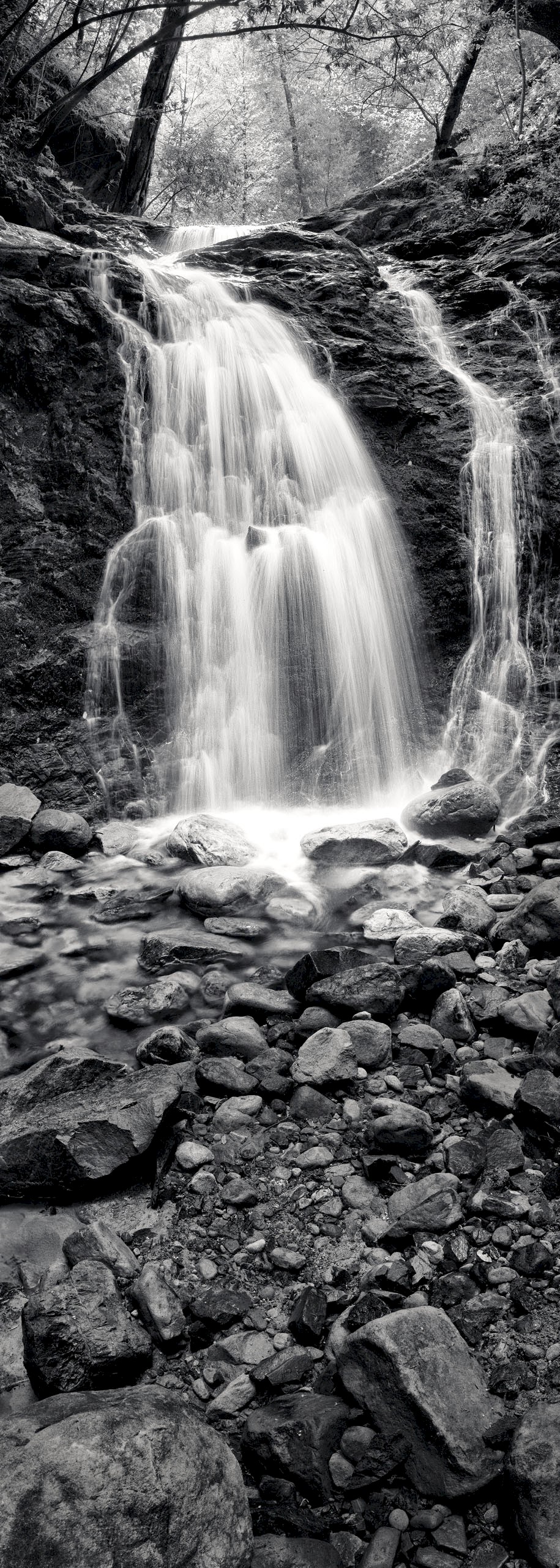 Uvas Canyon Falls - Uvas Canyon State Park