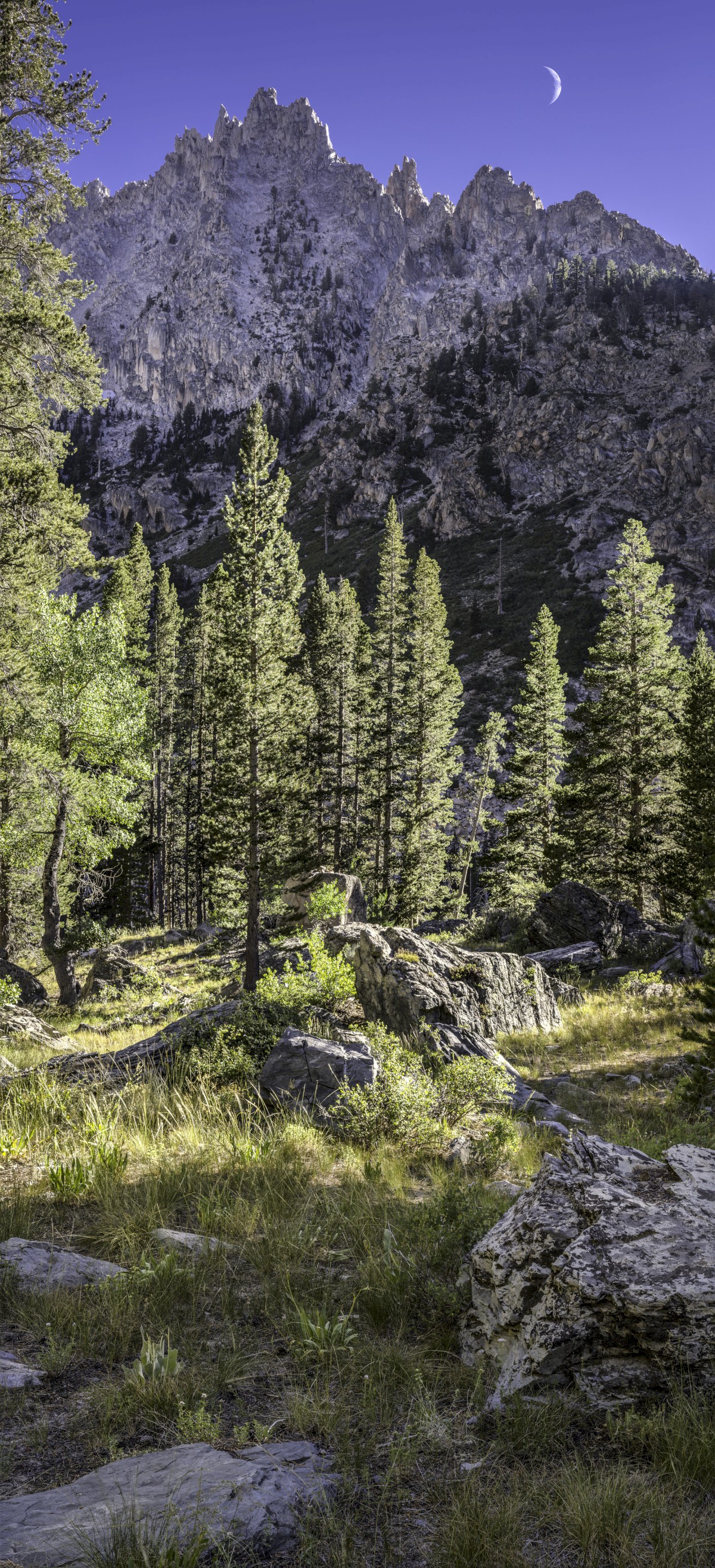 Sawtooth-Pines-1607_5142-5154