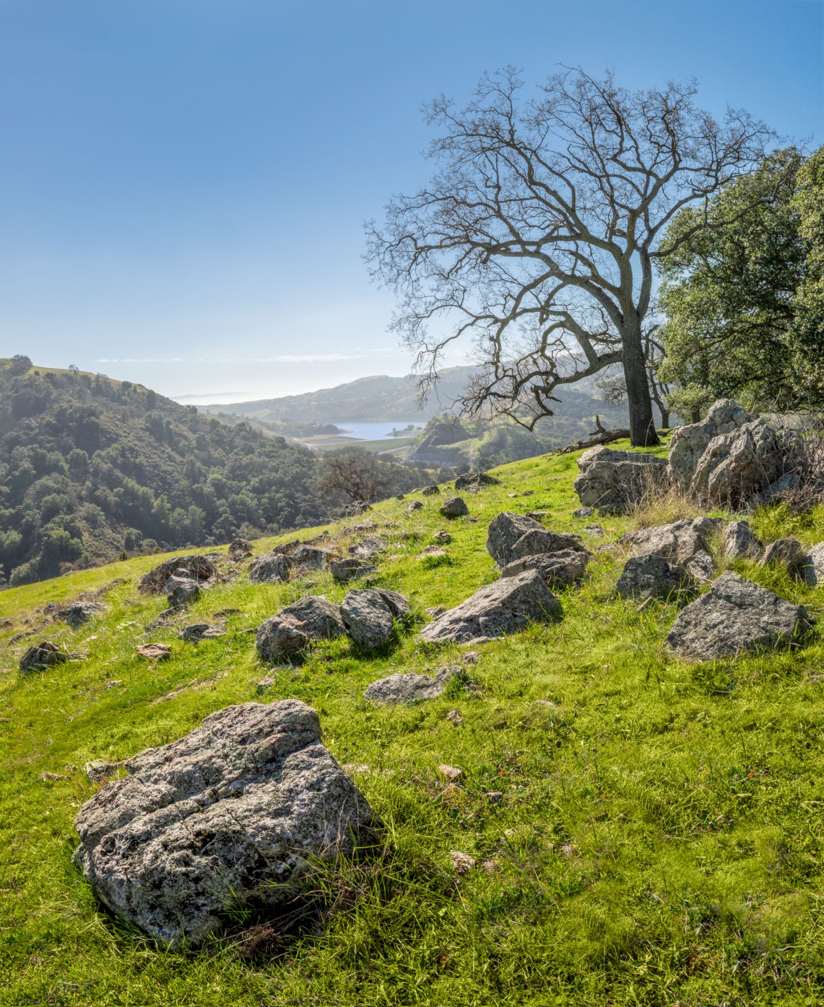 Calaveras Reservoir from Ciello Este - Sunol Regional Wilderness - EBPRD