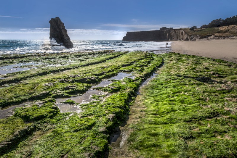 Northern California Coastline gallery cover