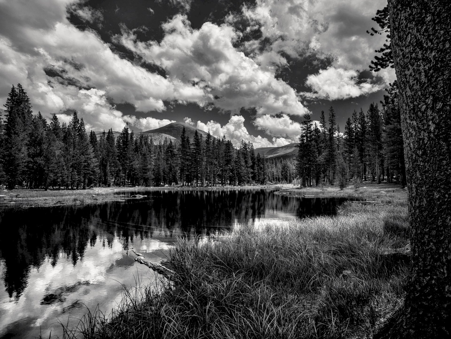 Tuolumne Mosquito Lake Reflections