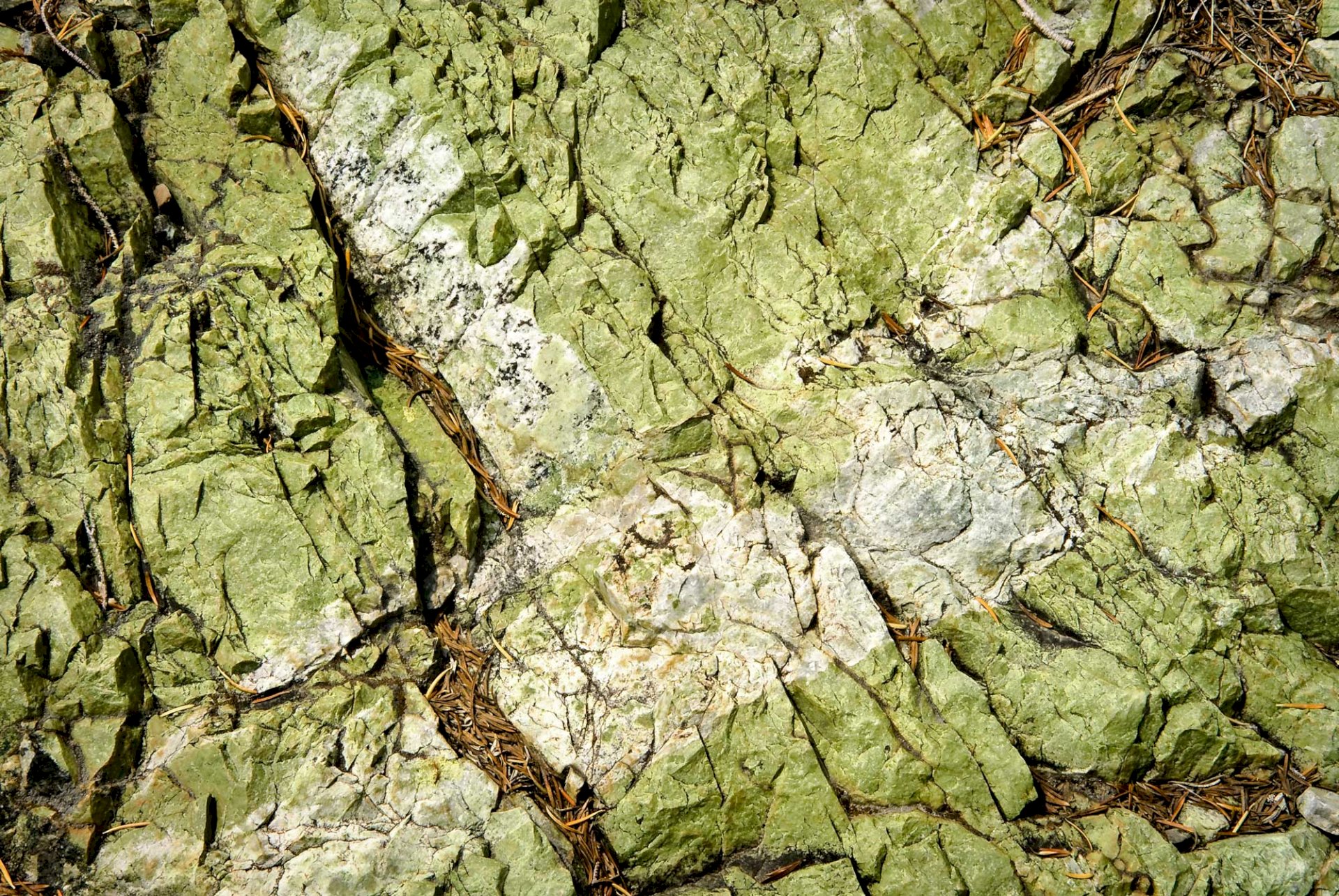 Olivine Rock