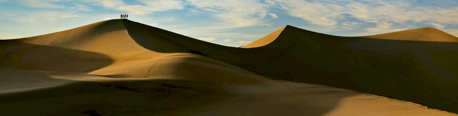 Mesquite Dunes Friends