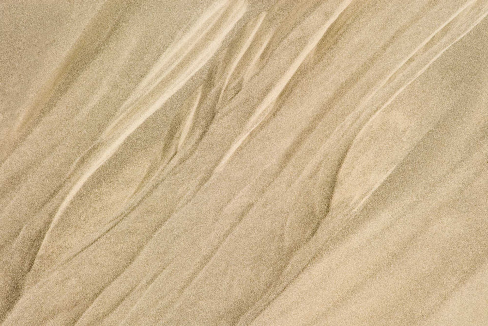 Loast Coast Sand Pattern