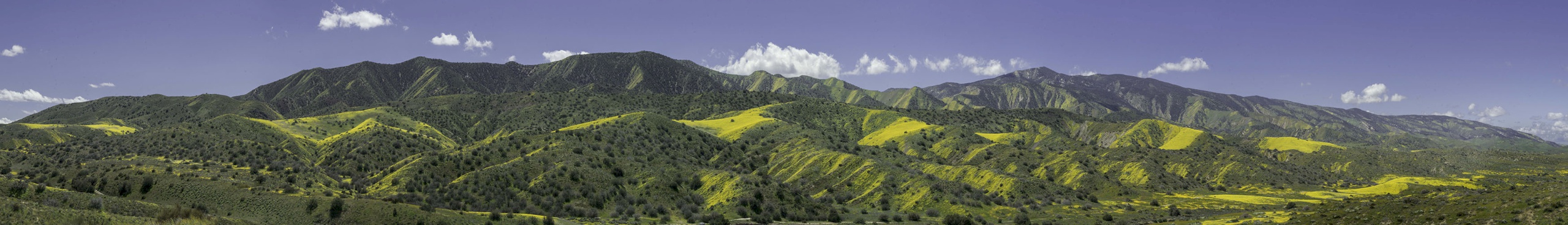 Carizzo-Plain-1904_5970-5979