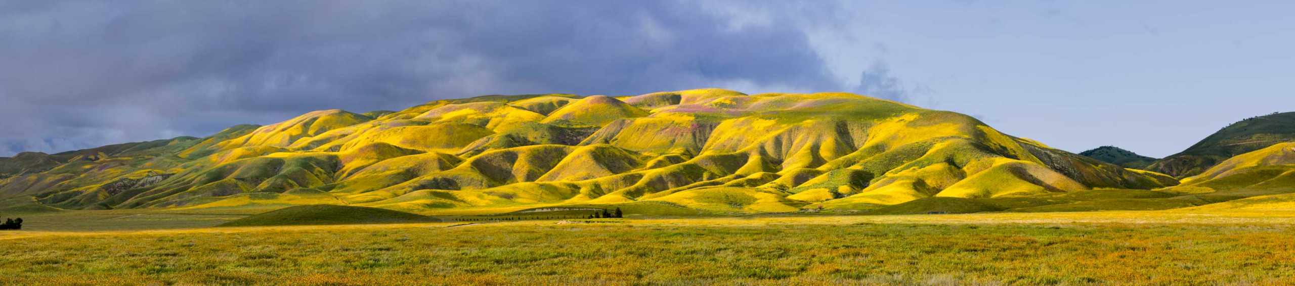 Temblor-Sunset-1904_6491-6497