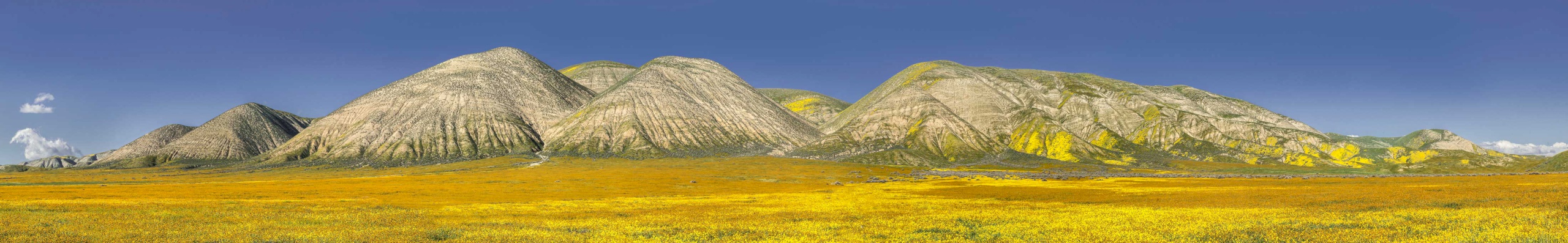 Elkhorn-Hills-1904_6392-6404