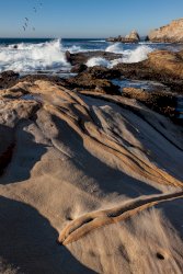 Point Lobos